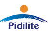 Pidilite - Amar Equipment Client